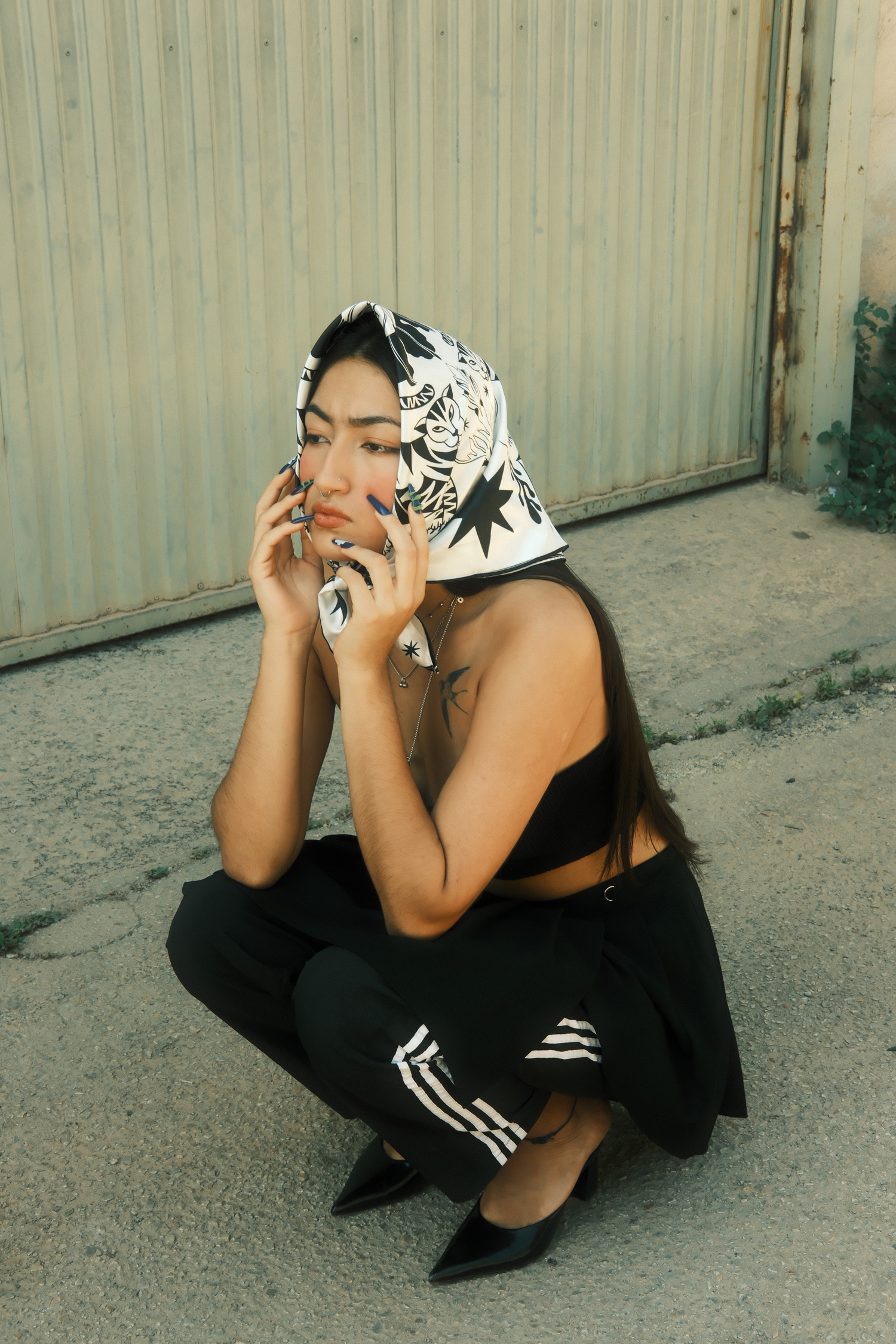 Ilicita Tigres salvajes 7