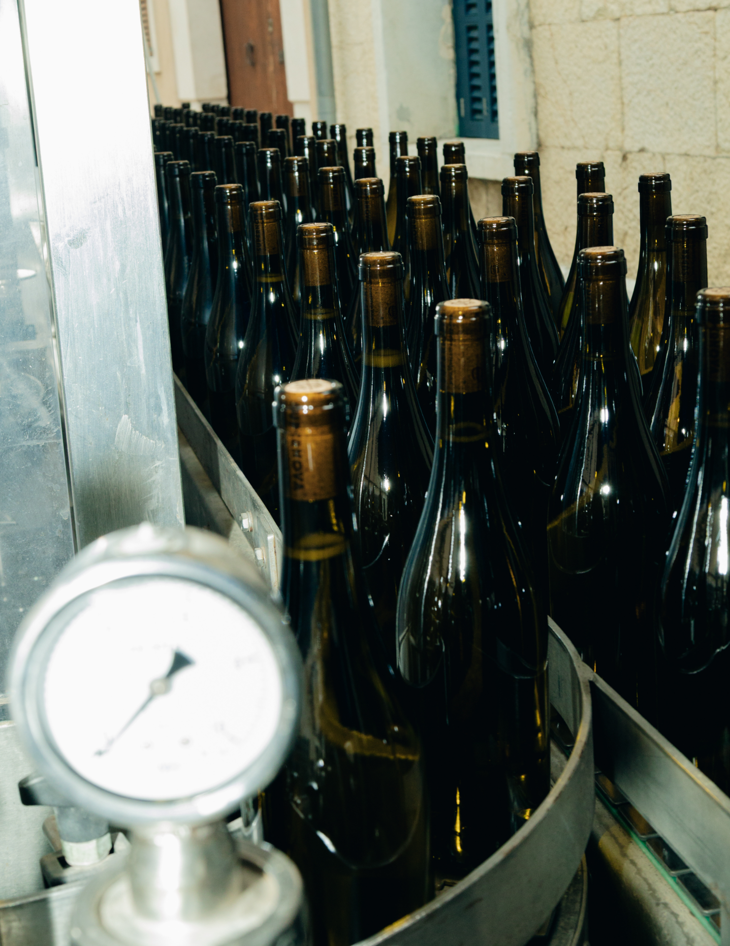 Stories Tot per al vi 2 copia